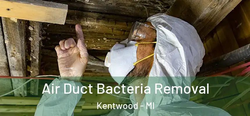  Air Duct Bacteria Removal Kentwood - MI