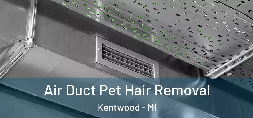  Air Duct Pet Hair Removal Kentwood - MI