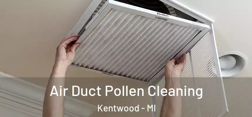 Air Duct Pollen Cleaning Kentwood - MI