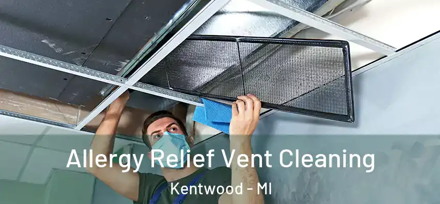  Allergy Relief Vent Cleaning Kentwood - MI