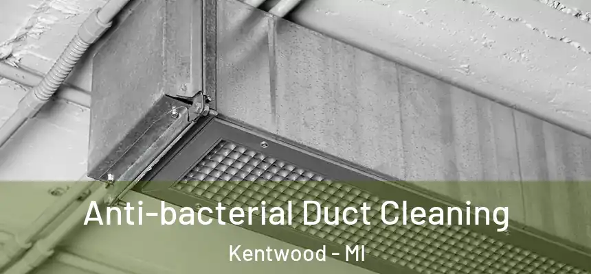 Anti-bacterial Duct Cleaning Kentwood - MI