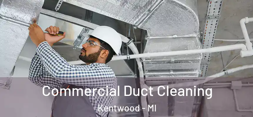 Commercial Duct Cleaning Kentwood - MI