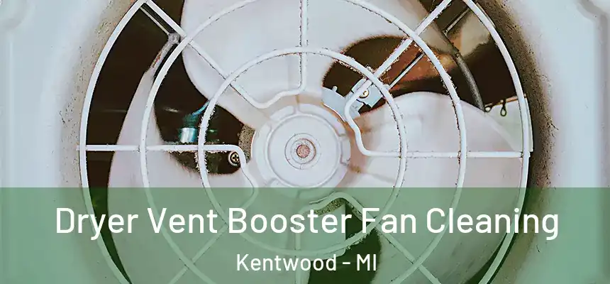  Dryer Vent Booster Fan Cleaning Kentwood - MI