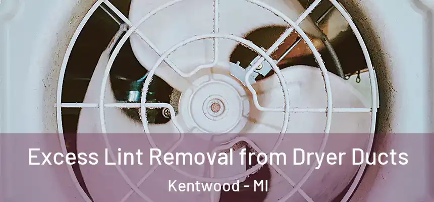  Excess Lint Removal from Dryer Ducts Kentwood - MI