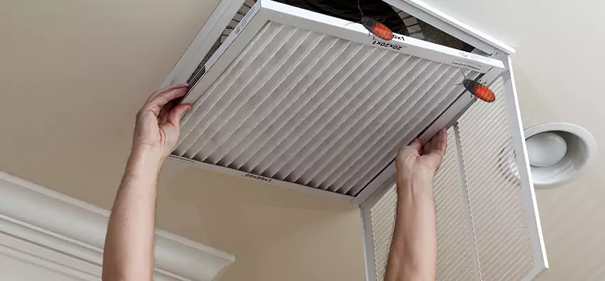 Our Insect Removal from Air Ducts Services in Kentwood, MI