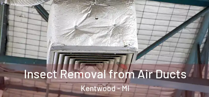  Insect Removal from Air Ducts Kentwood - MI