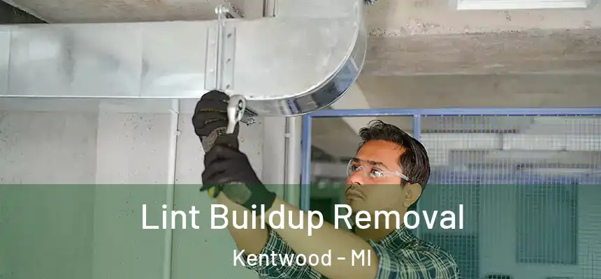 Lint Buildup Removal Kentwood - MI