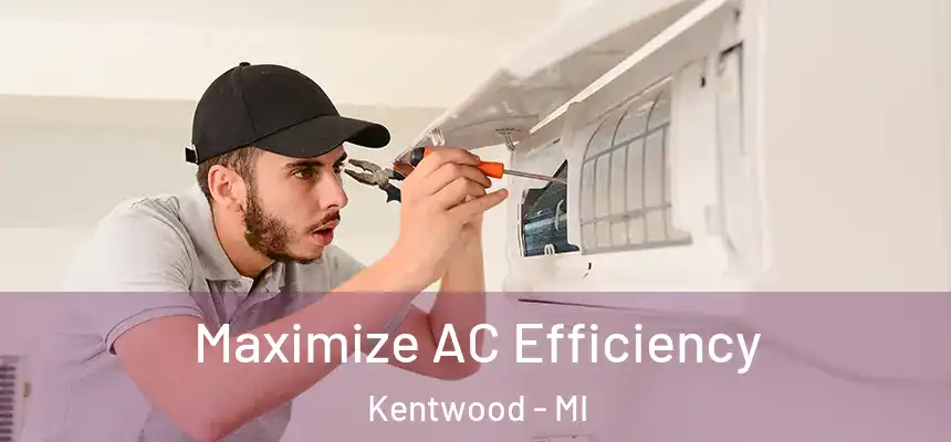  Maximize AC Efficiency Kentwood - MI