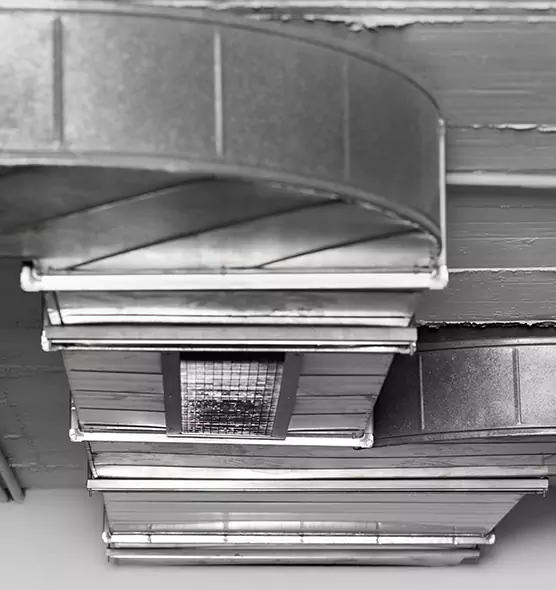 Professional Air Duct Pest Removal in Kentwood, MI