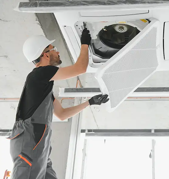 About Air Duct Rodent Removal in Kentwood, MI