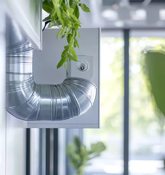 Professional Eco-Safe Dryer Vent Cleaning in Kentwood, MI