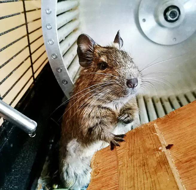 Why Homeowners & Businesses Trust Us Kentwood, MI