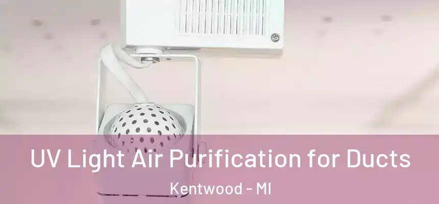 UV Light Air Purification for Ducts Kentwood - MI